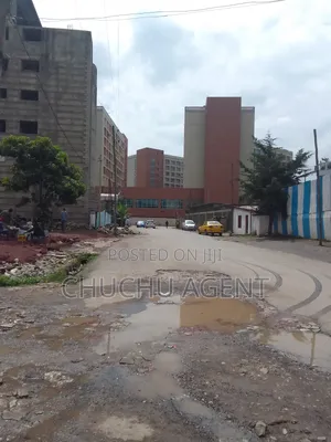 Construction Land Sale Bole