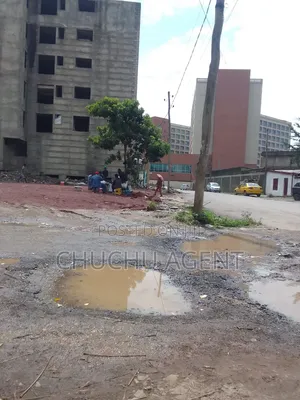 Construction Land Sale Bole