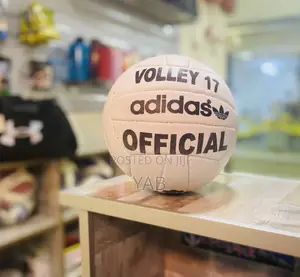 Photo - White Volleyball Pure Leather