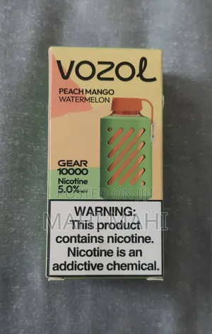 Vozol 10000puff