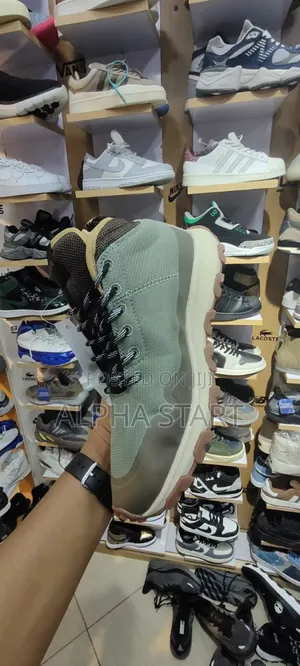 Ttimberland Water Proof Shoes for You