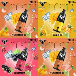 Original ለየት ያለ ጣዕም,ተመራጭ Best VAPE 12000PUFF KALYAN Mangov