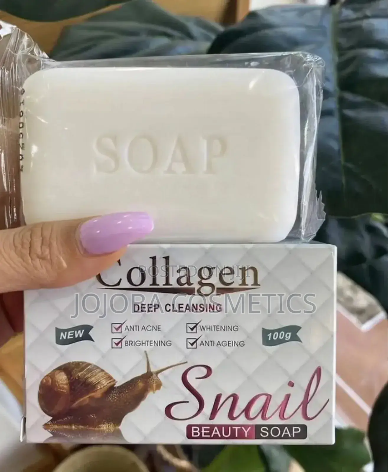 Snail Soap