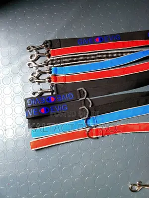 Heavy Duty Dog Leash