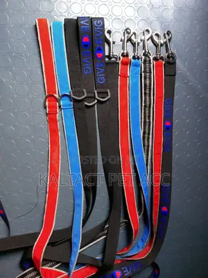 Heavy Duty Dog Leash