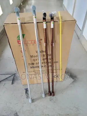 Photo - Walking Stick Karma Ryder-121 Silver, WALKING STICK PACK OF1