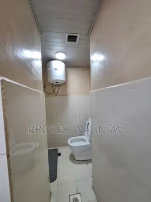 Furnished 3bdrm Apartment in Kirkos for rent