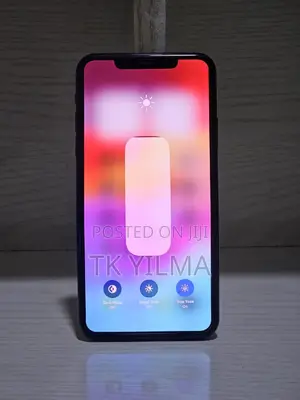 Apple iPhone 11 Pro Max 256 GB Gray