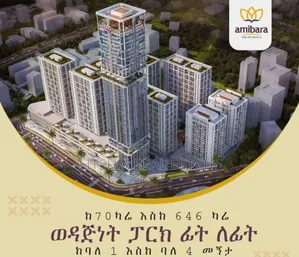 1bdrm Apartment in Amibara Properties, Arada for sale