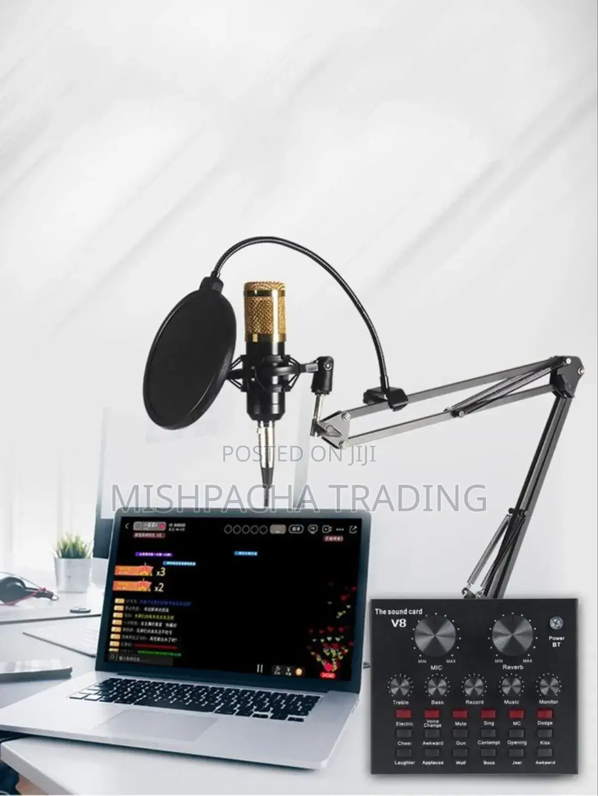 Professional Condenser Microphone