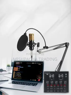 Professional Condenser Microphone