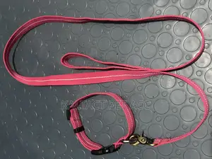 Dog Leash and Collar