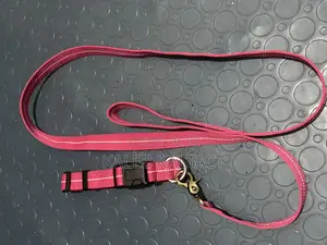 Dog Leash and Collar