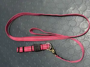 Dog Leash and Collar