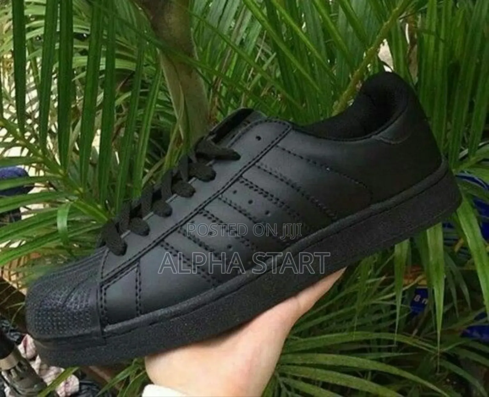 Adidas Superstar Black Master Quality Shoes