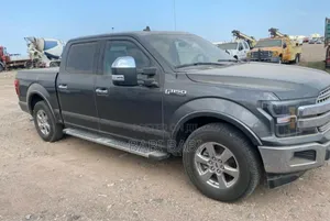 Ford F-150 2020 Gray