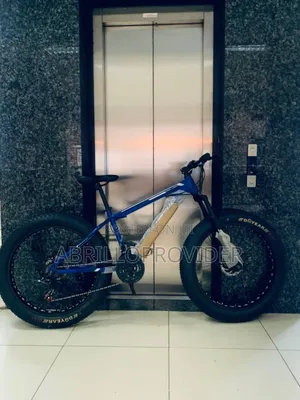 Photo - 26 Inch Fat Tyre Bicycle: Sherif Brand Bike