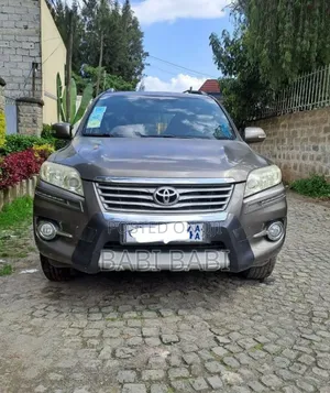 Photo - Toyota RAV4 2010 Brown