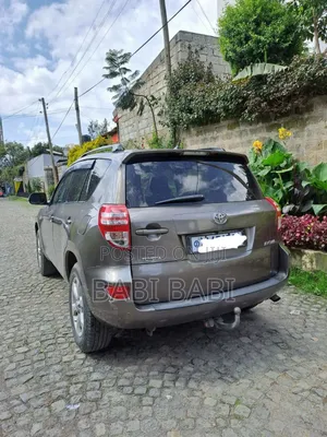 Toyota RAV4 2010 Brown