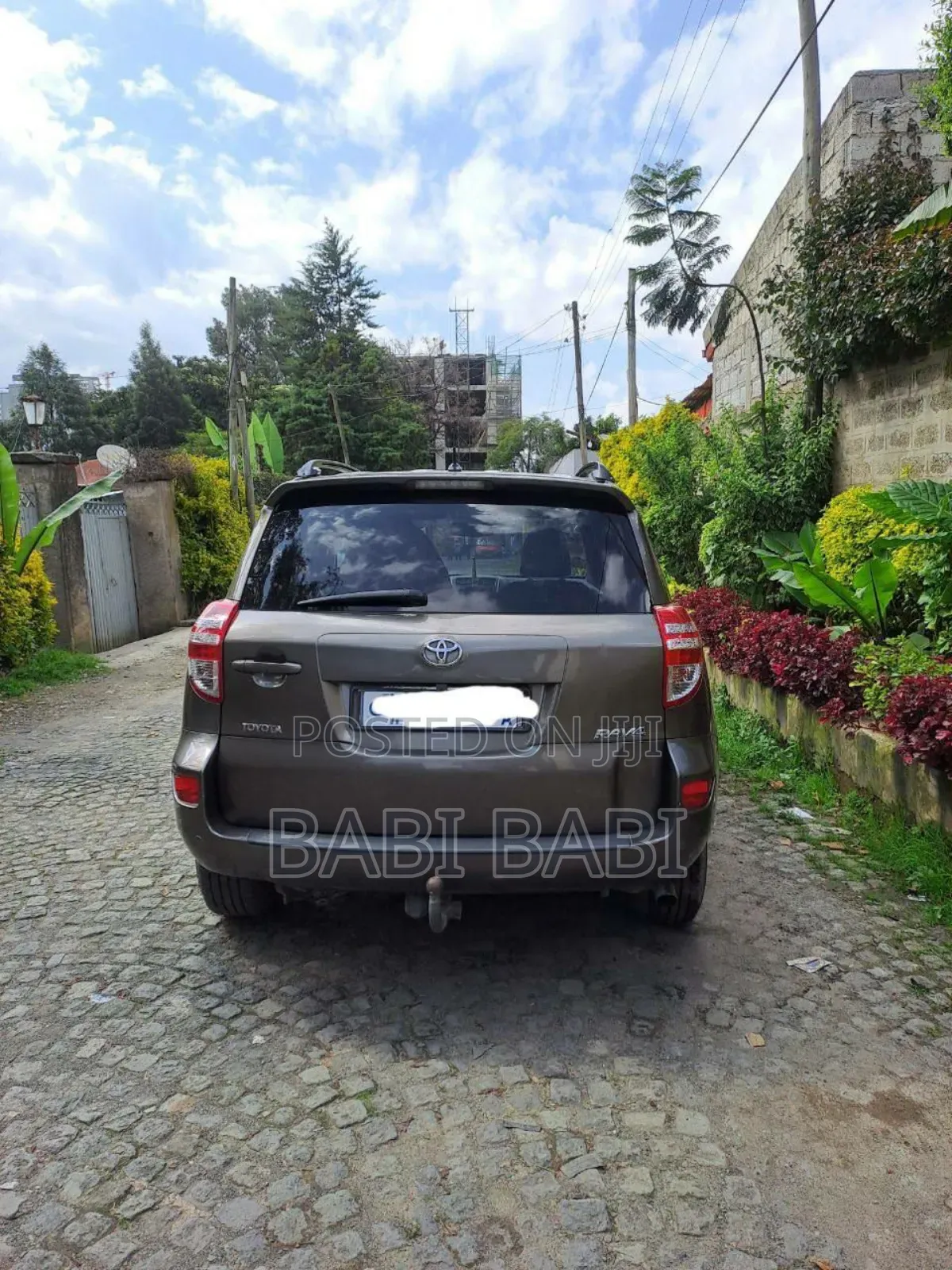 Toyota RAV4 2010 Brown