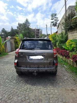 Toyota RAV4 2010 Brown