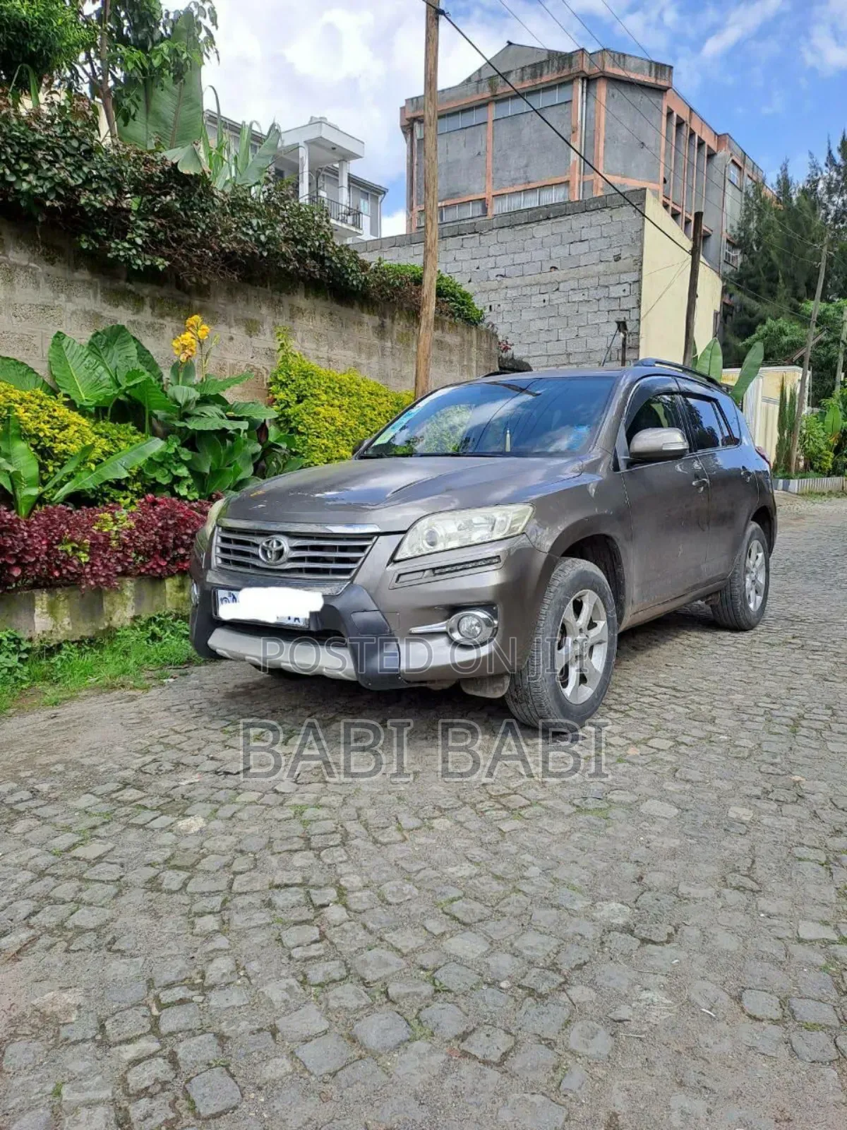 Toyota RAV4 2010 Brown