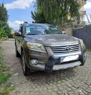 Toyota RAV4 2010 Brown