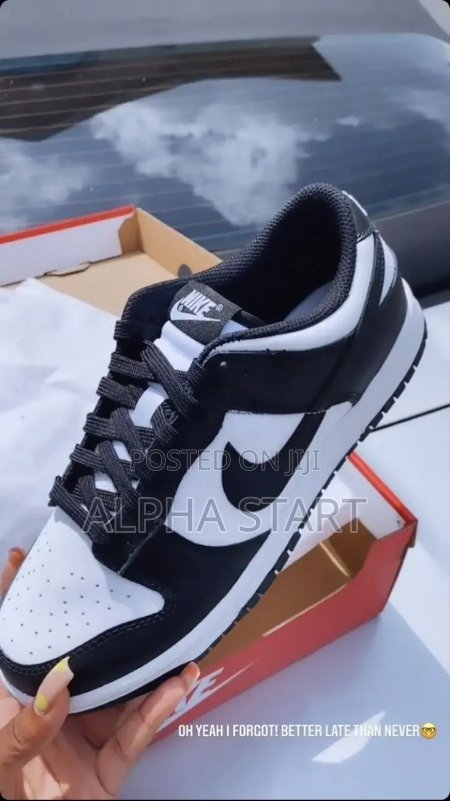 Nike Dunk High Quality Sneaker for You