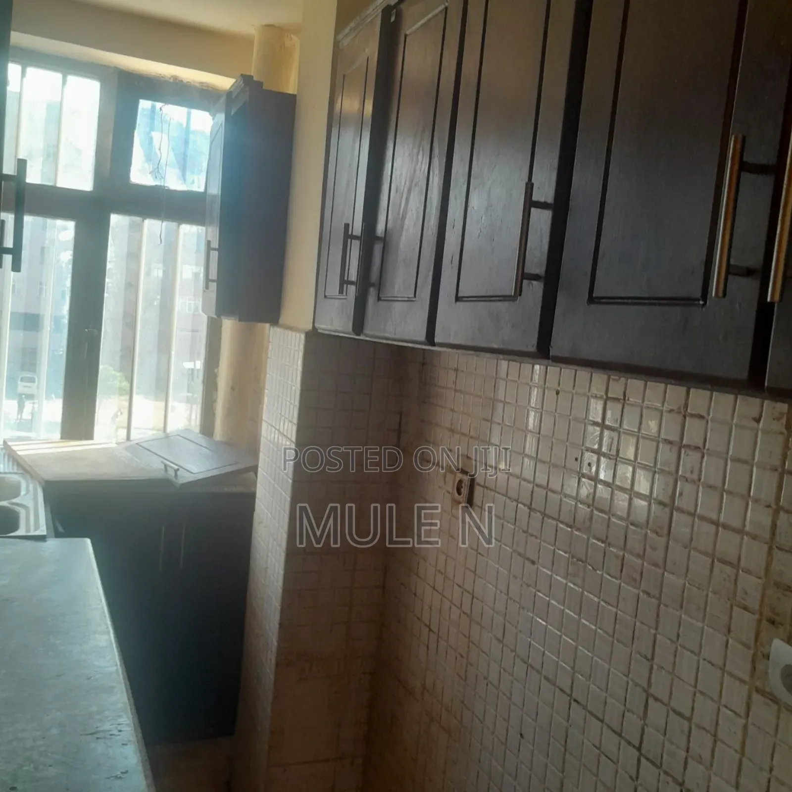 Furnished 1bdrm Condo in Bole Arabisa for sale