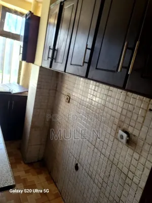 Furnished 1bdrm Condo in Bole Arabisa for sale