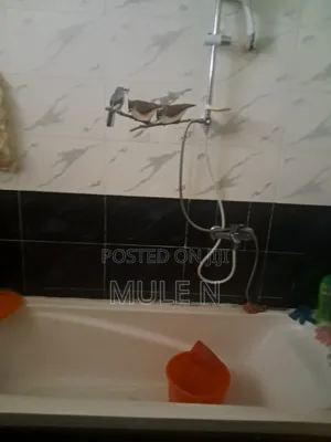 Furnished 3bdrm Condo in Abado Ccondominium, Yeka for sale