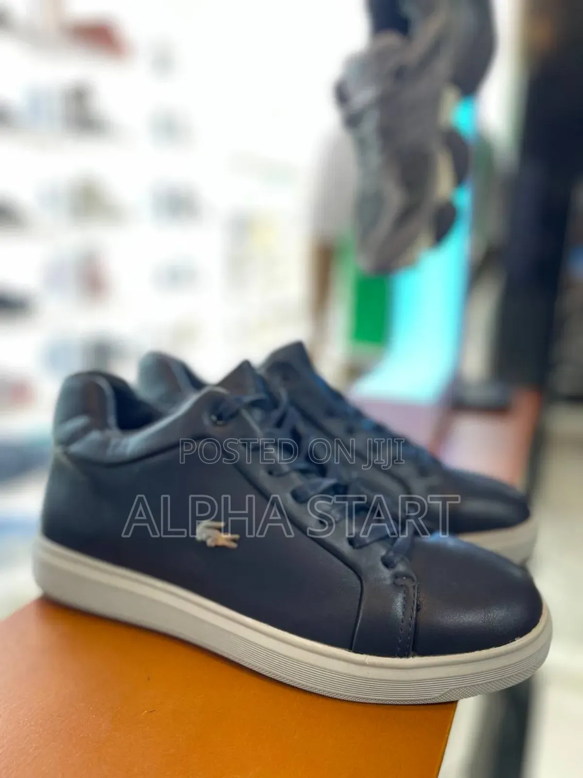 Lacoste High Quality Snaeaker for You