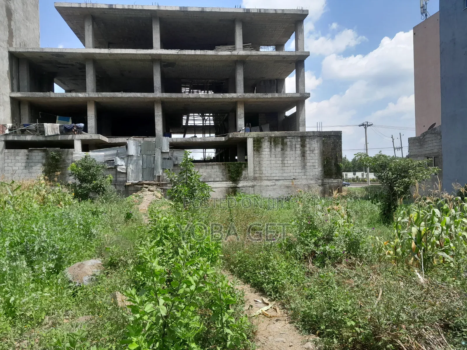 አስቸካይ የሚሸጥ ባታ