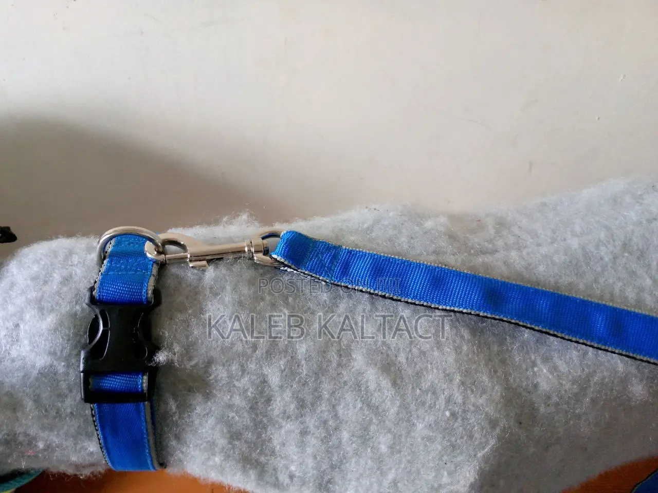 Dog Leash and Collar