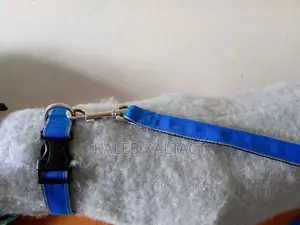 Dog Leash and Collar