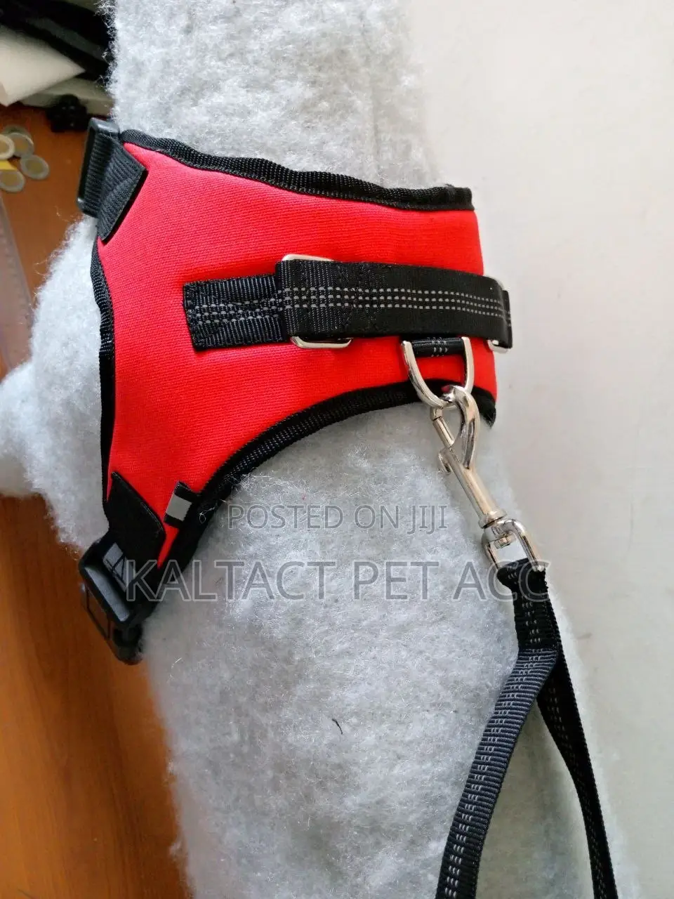 Dog Accessories