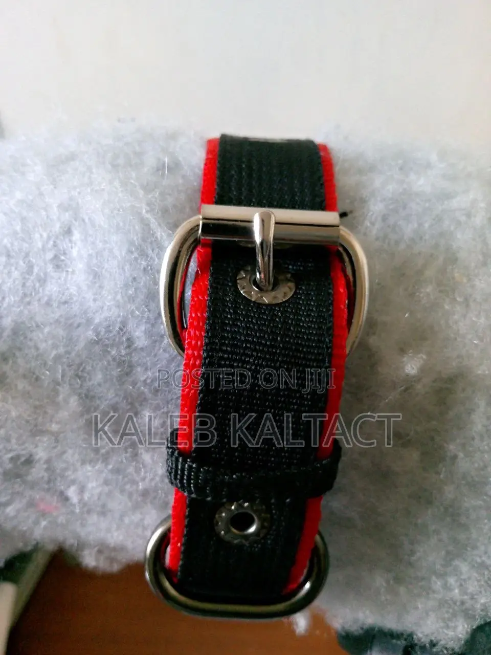 Metal Buckled Dog Collars