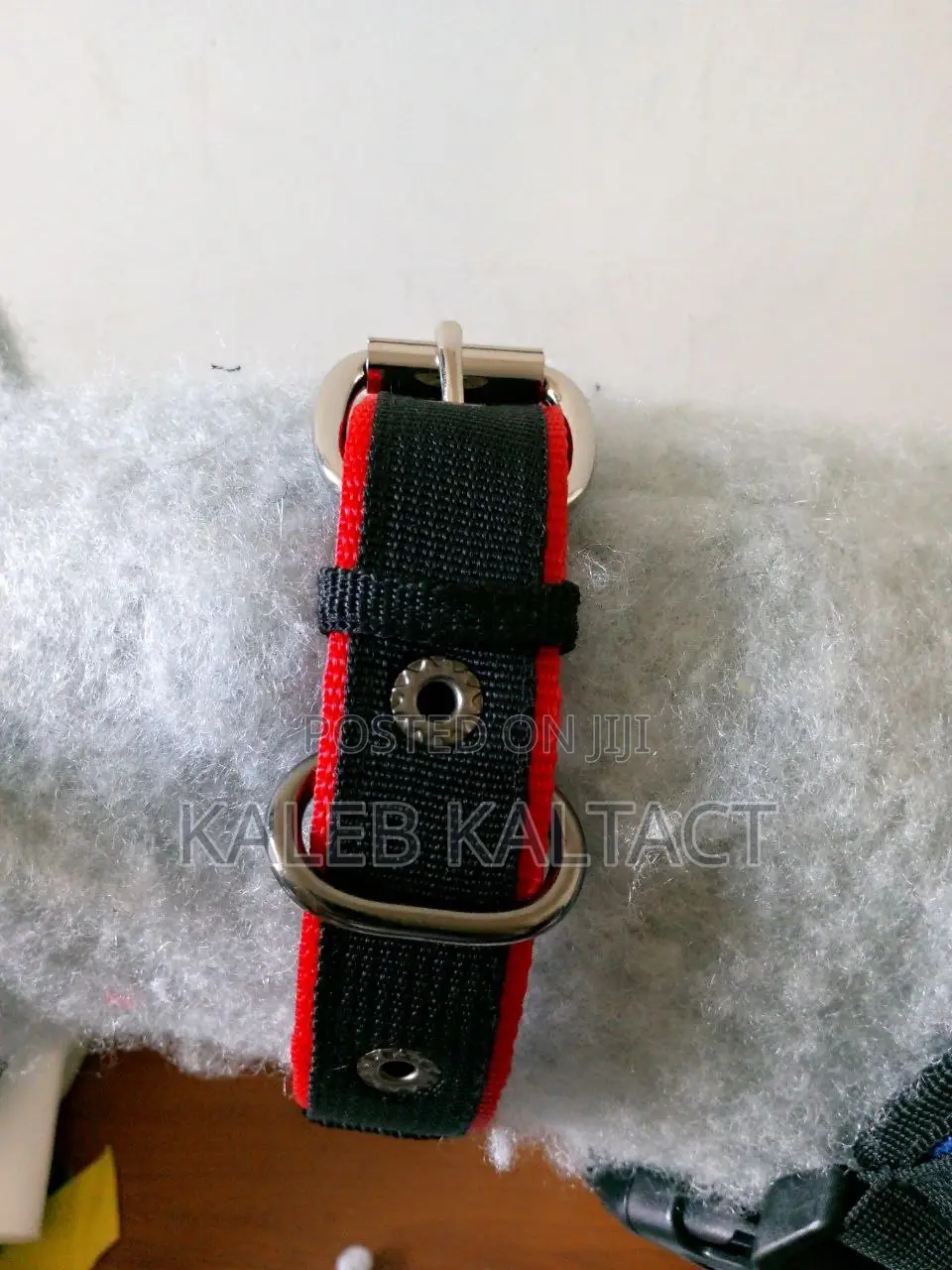 Metal Buckled Dog Collars