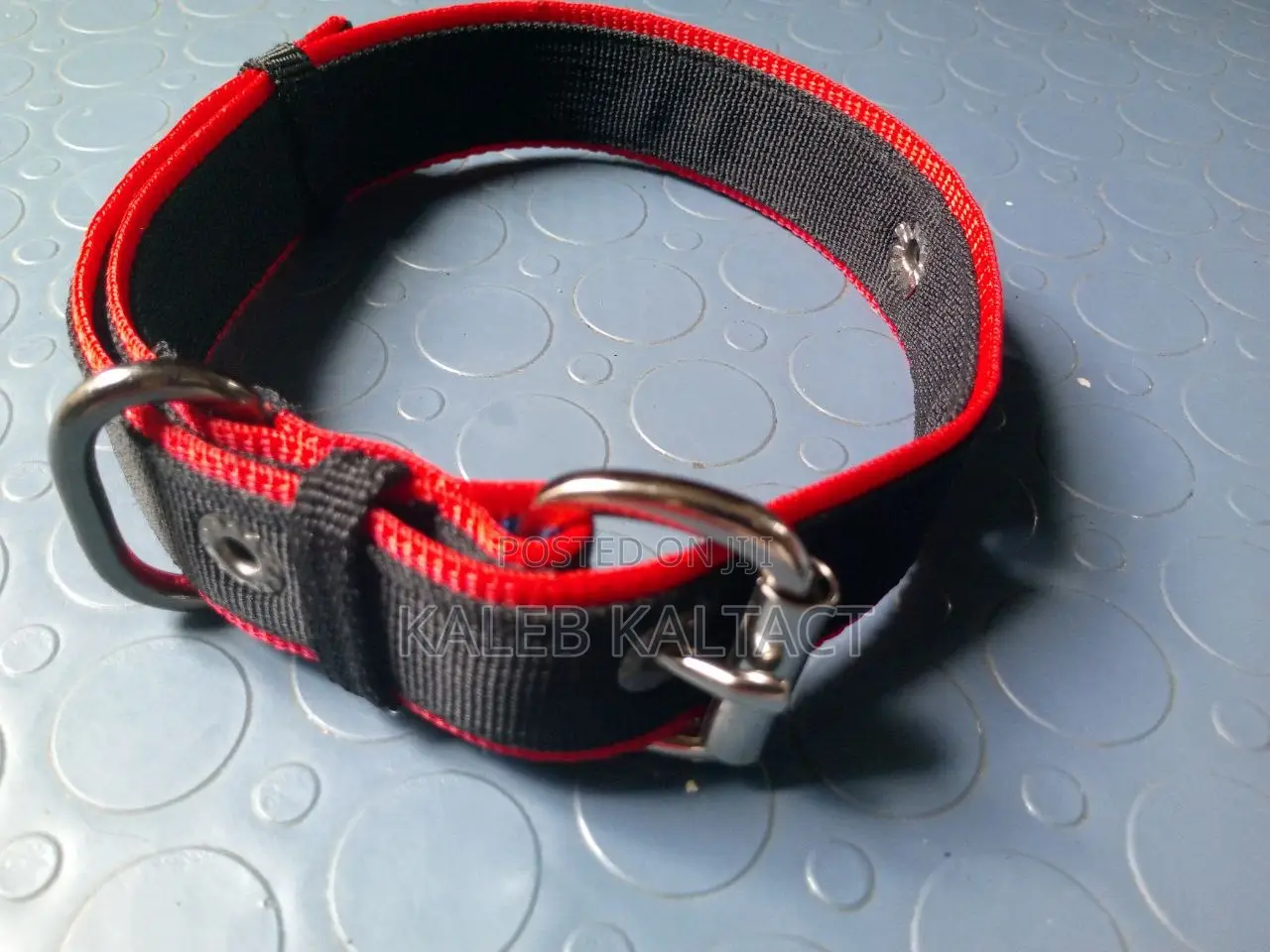 Metal Buckled Dog Collars