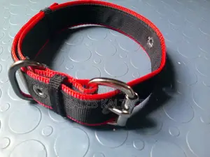 Metal Buckled Dog Collars