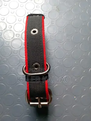Metal Buckled Dog Collars