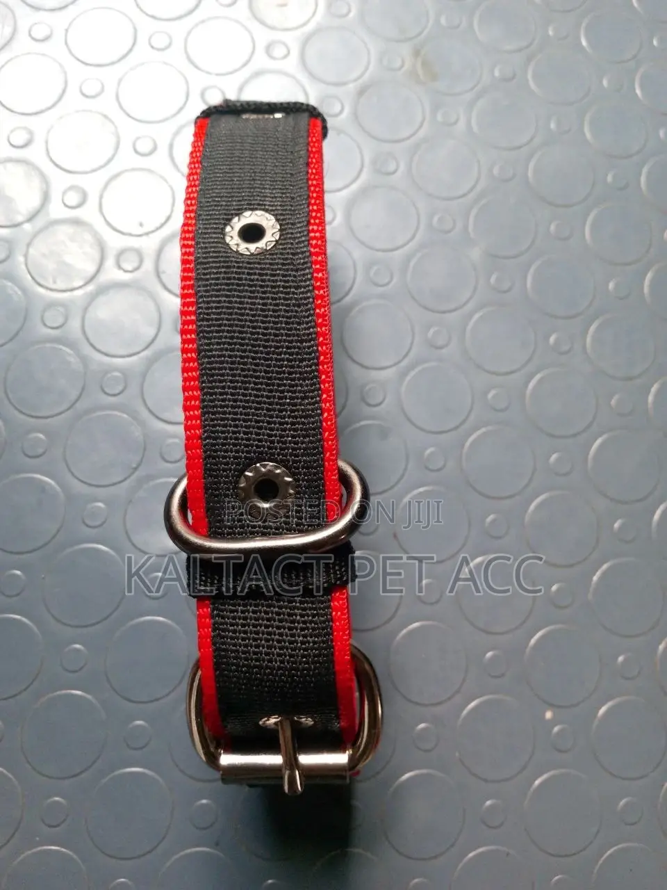 Metal Buckled Dog Collars