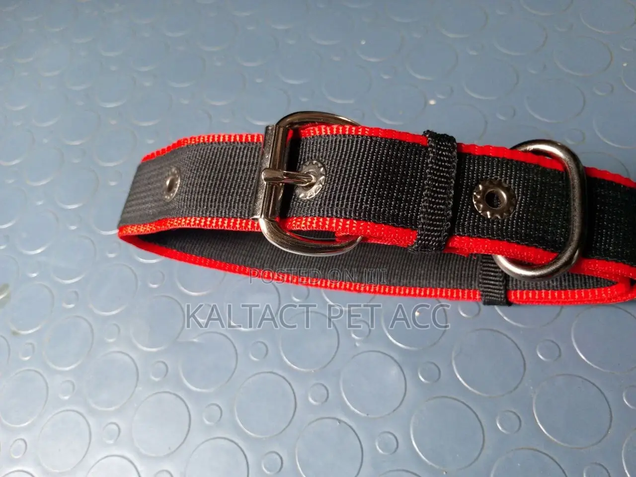 Metal Buckled Dog Collars