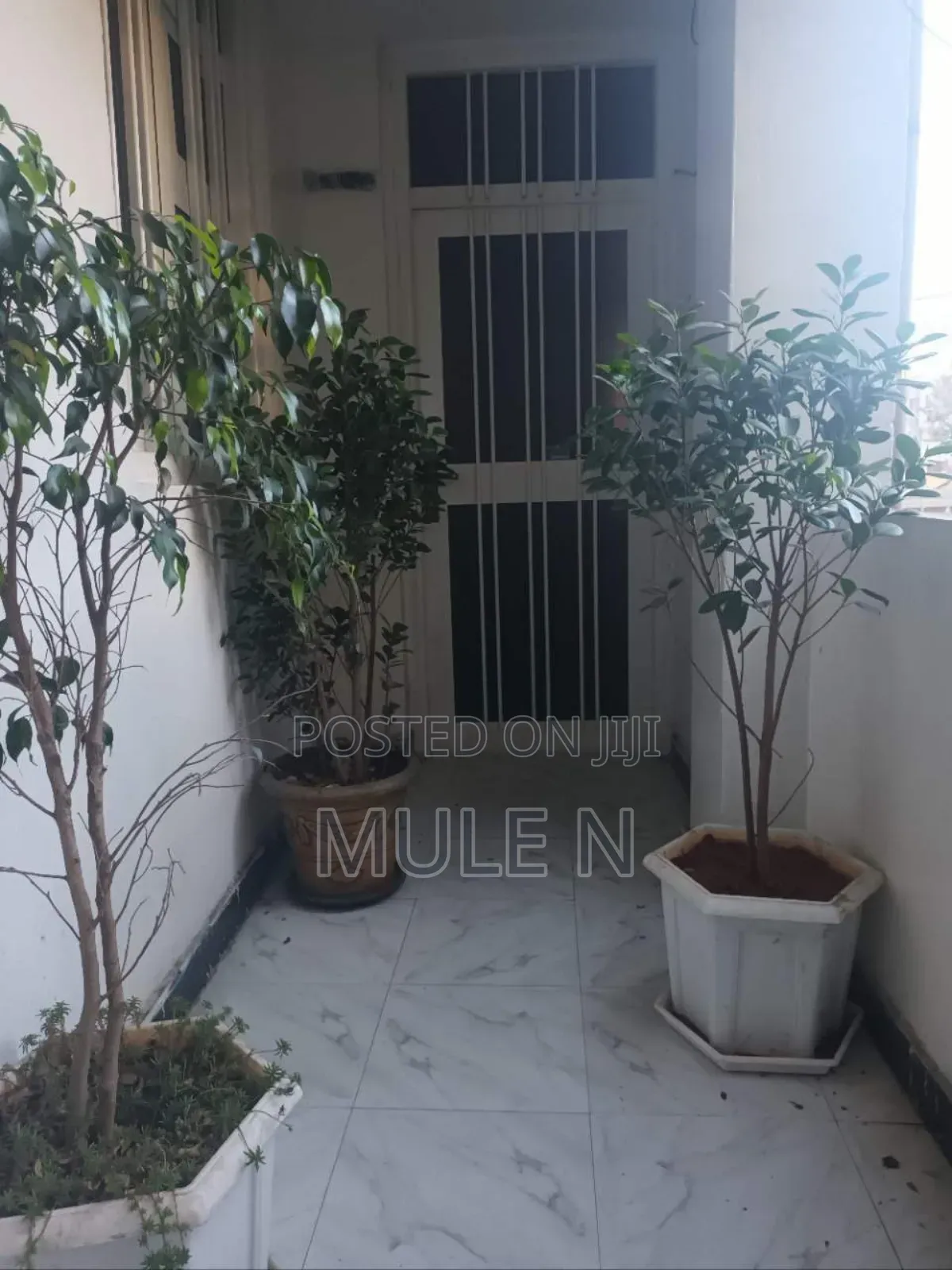 Furnished 2bdrm Condo in Gotera Condominium, Kirkos for sale