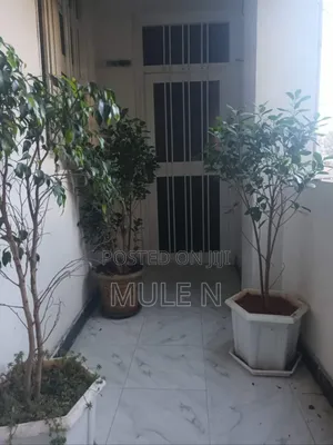 Furnished 2bdrm Condo in Gotera Condominium, Kirkos for sale