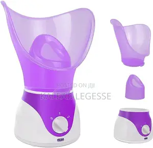 Facial Steamer