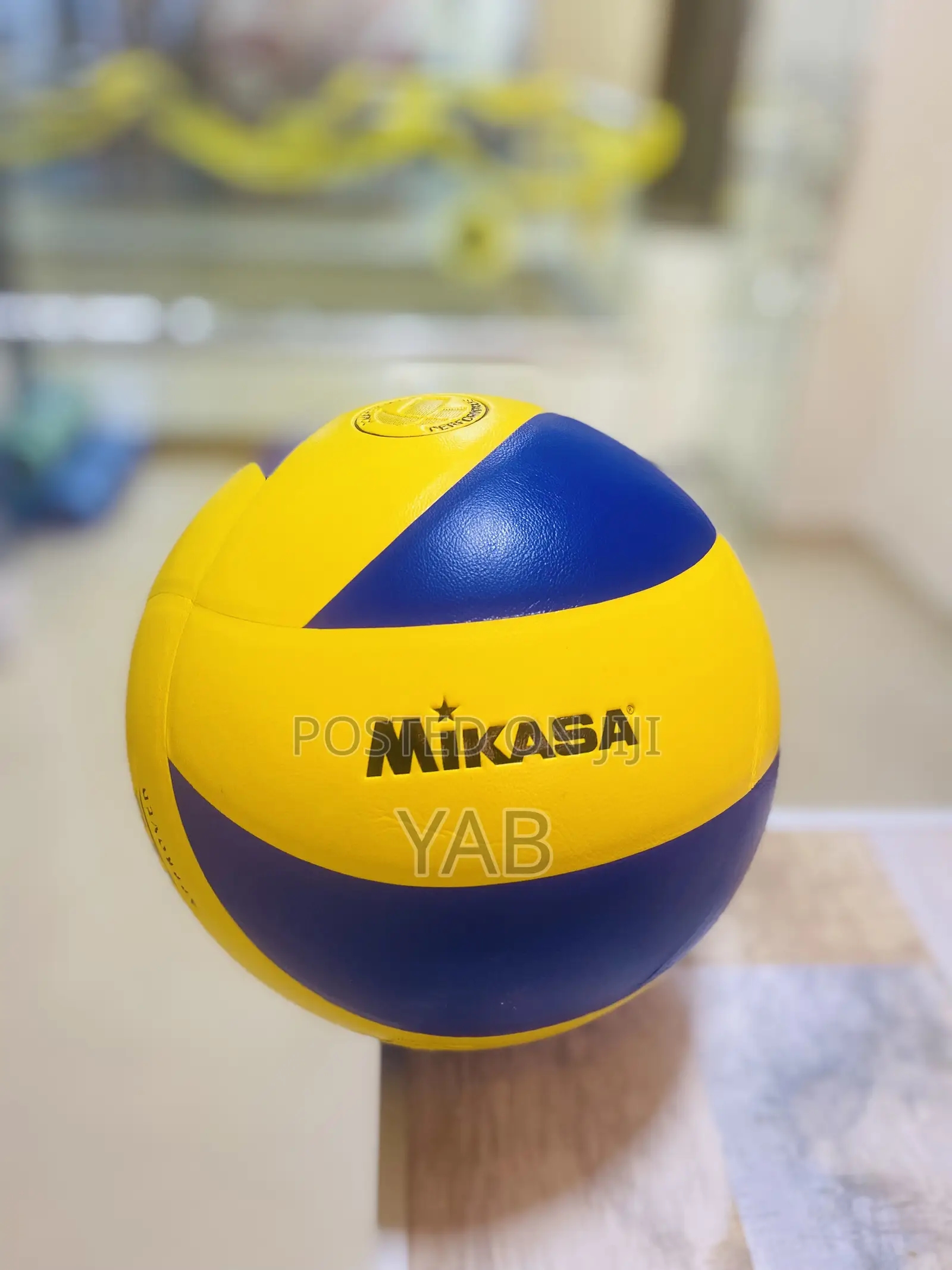 Volleyball Original Mikasa Ball