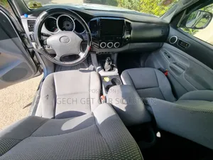 Toyota Tacoma 2010 Silver