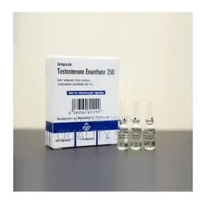 Testosterone Enanthate