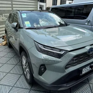 Photo - Toyota RAV4 2024 Gray